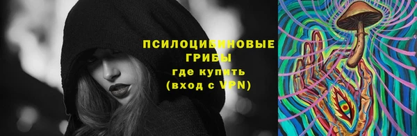 соль ск Алзамай