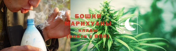 прущие грибы Алексин