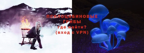 прущие грибы Алексин