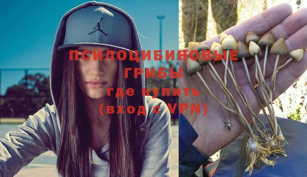 прущие грибы Алексин