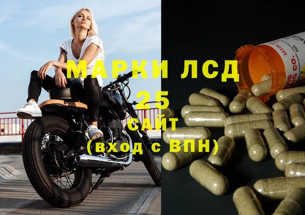 прущие грибы Алексин