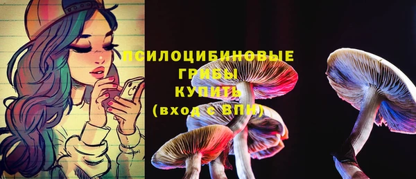 соль ск Алзамай