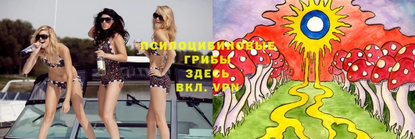 соль ск Алзамай