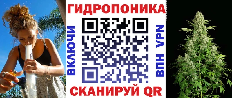 Бошки марихуана сатива  Андреаполь 